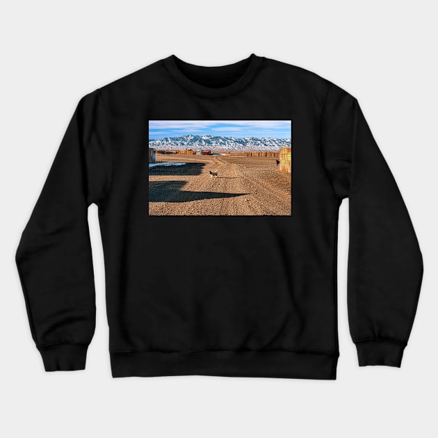 Dalanzadgad. Crewneck Sweatshirt by bulljup